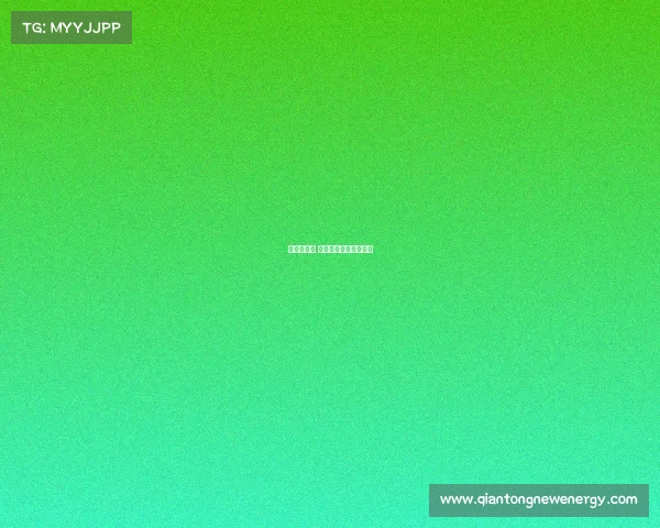 斯巴达赛事 深圳—斯巴达国际赛事