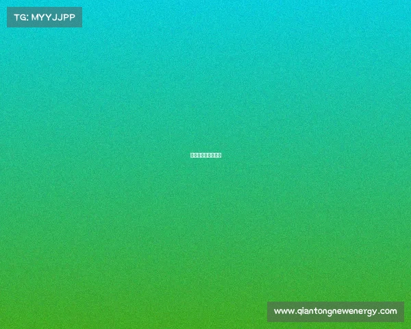 单关固定是什么意思