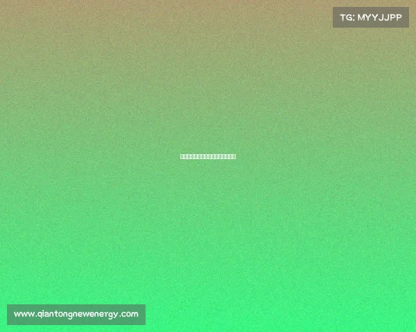 关于亚冠赛事—关于亚冠赛事的作文