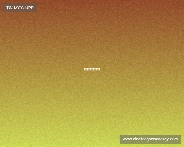 意大利和荷兰比赛目的